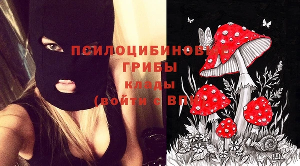 PSILOCYBIN Аркадак