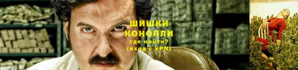 PSILOCYBIN Аркадак