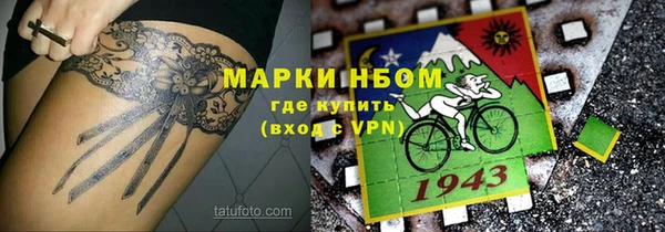 PSILOCYBIN Аркадак