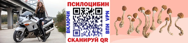 Псилоцибиновые грибы мицелий  Купить  Усинск 